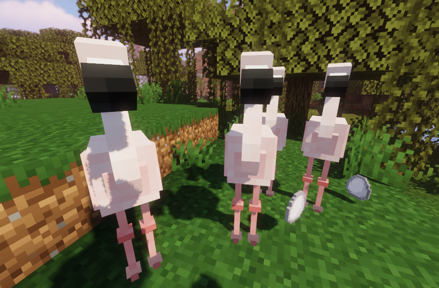 Flamingo, oh, oh, oh...