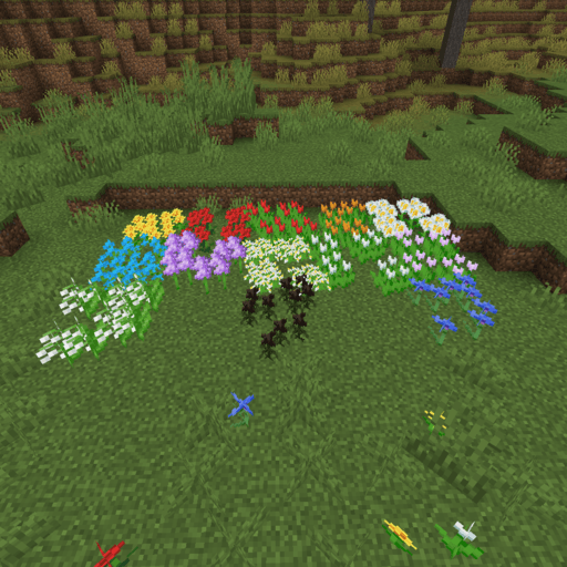 Flower Patch