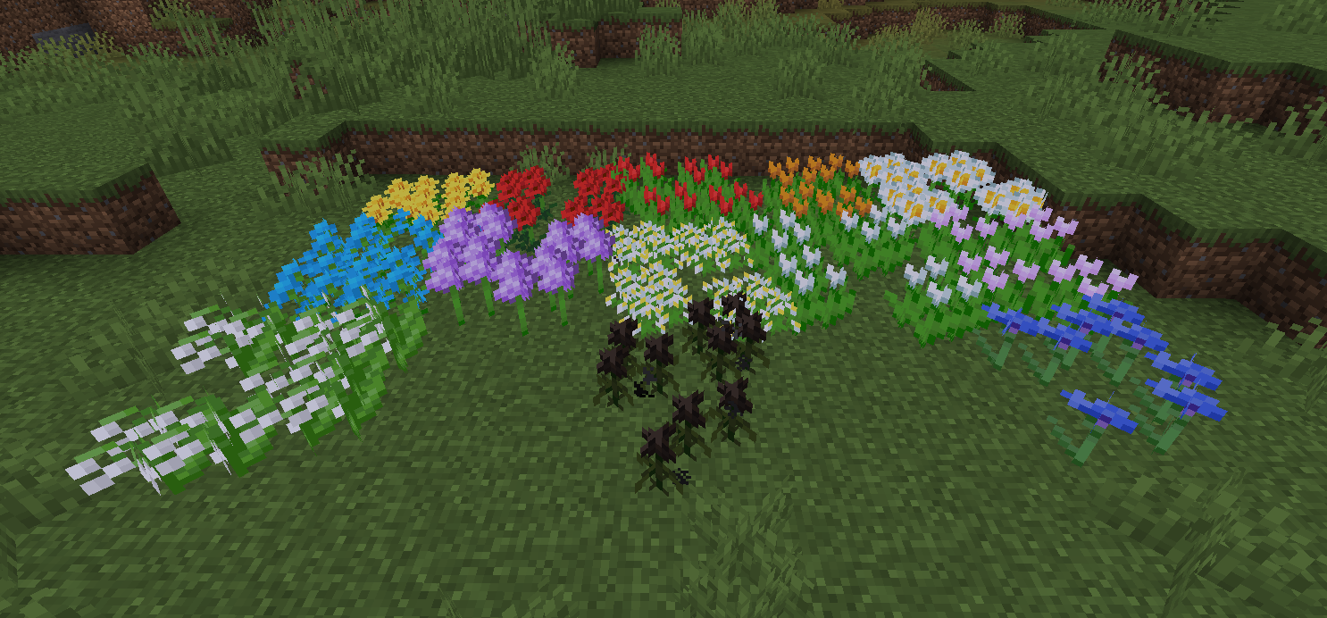 Flower Patch