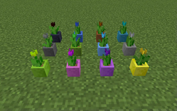 FlowerCrops