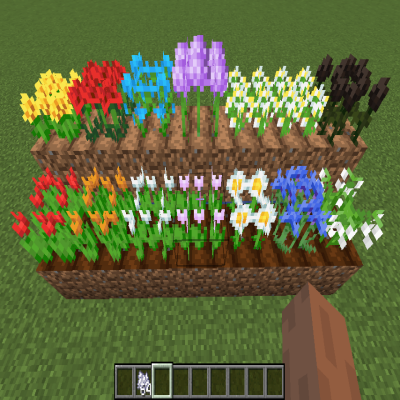 Flower Seeds 2