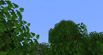 Fowl Play
