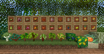 Fruits Delight