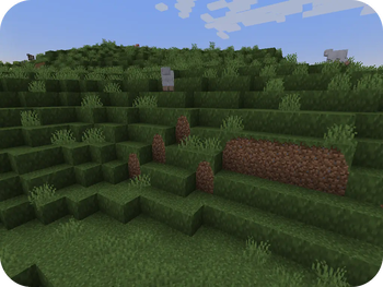 Fusion (Connected Textures)