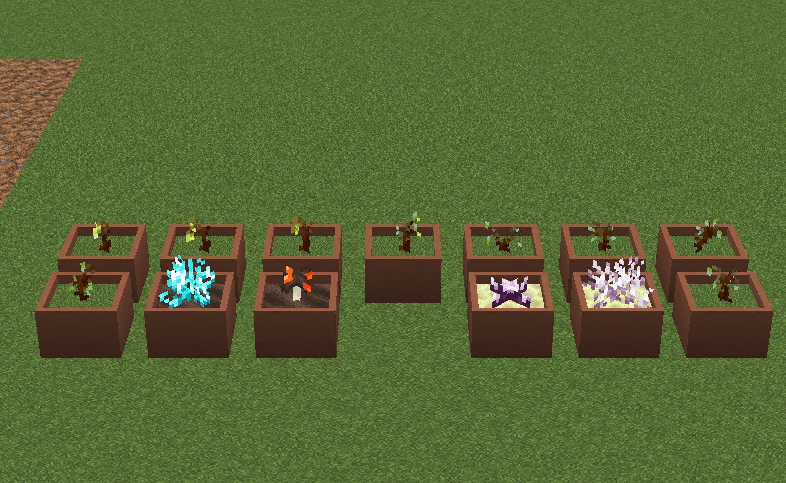 Garnished Botany Pots
