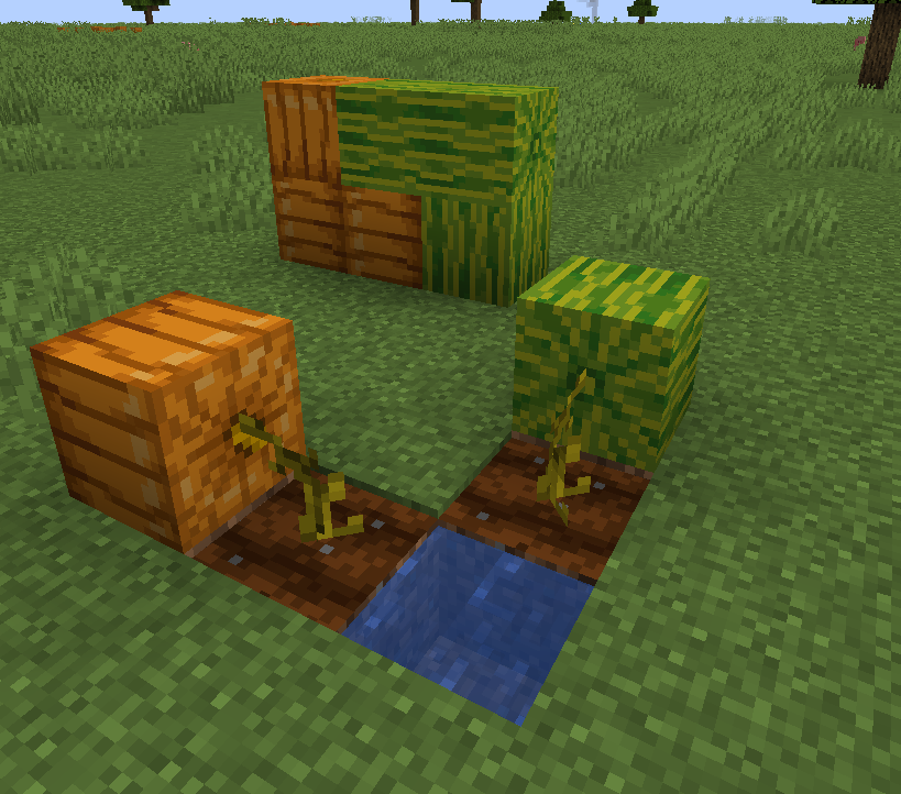 Gourds Fix