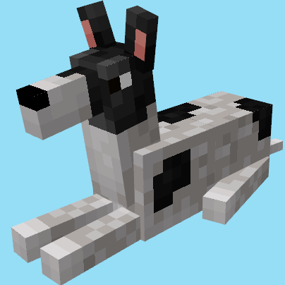 Broglis Dogs - Greyhounds