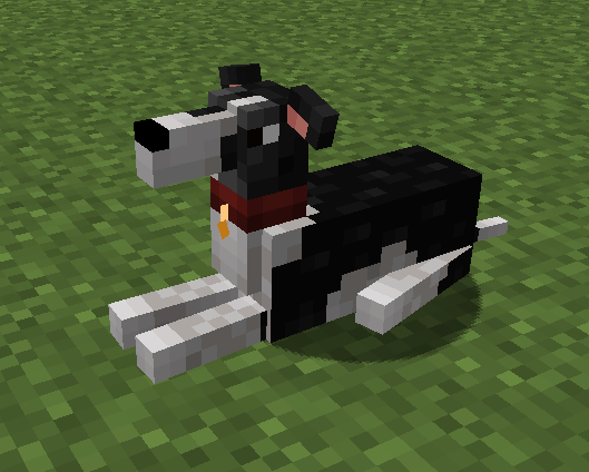 Broglis Dogs - Greyhounds