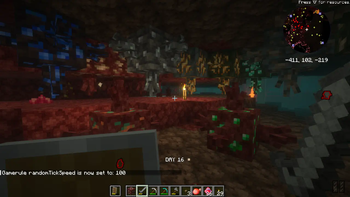 G&T Ore Growth 4 Pack Support