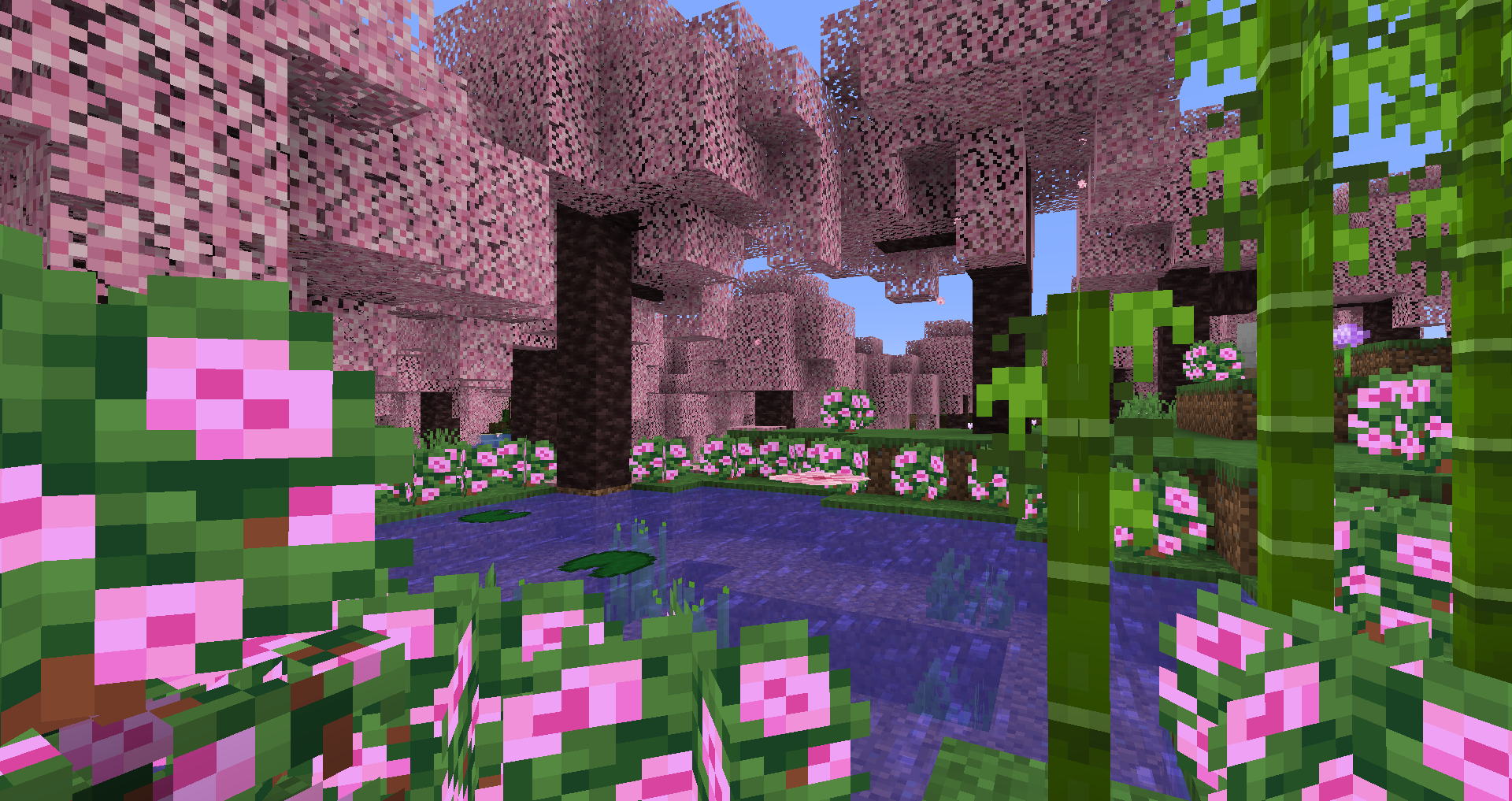 Hanami