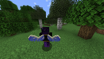 Hazel's Various Wings