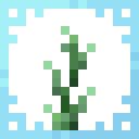 Hibernal Herbs