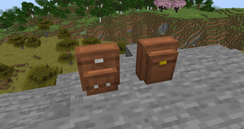 Backpacks