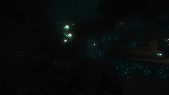 Hollow
