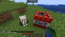 Immortal Pets
