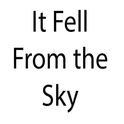 It Fell From The Sky