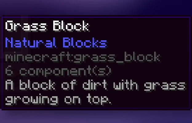 Item Descriptions
