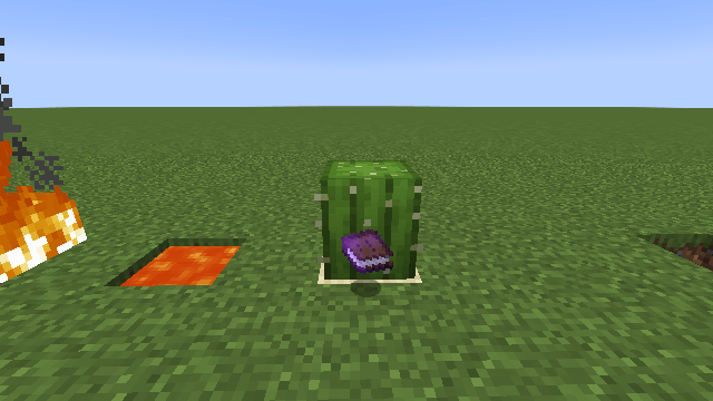 Item Protection Enchantments