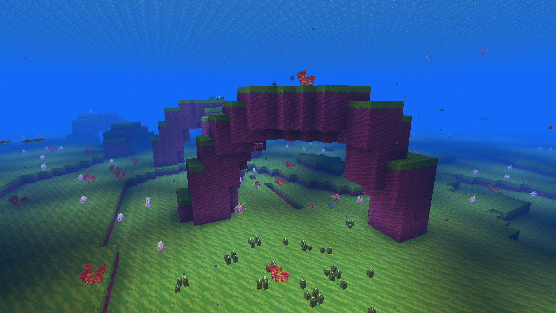 Jellyfishing