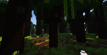 Jungle Update