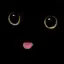 Kateroo