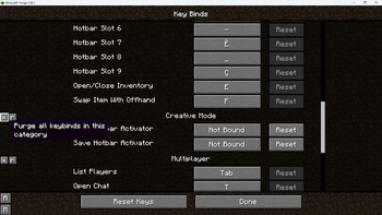 KeybindsPurger