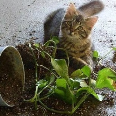 KubeJS Roots