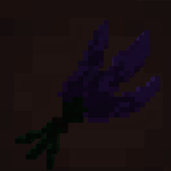 Lavender