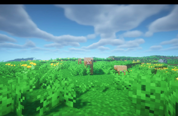 [Let's Do] Meadow