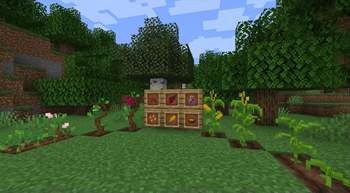 Lovely Crops