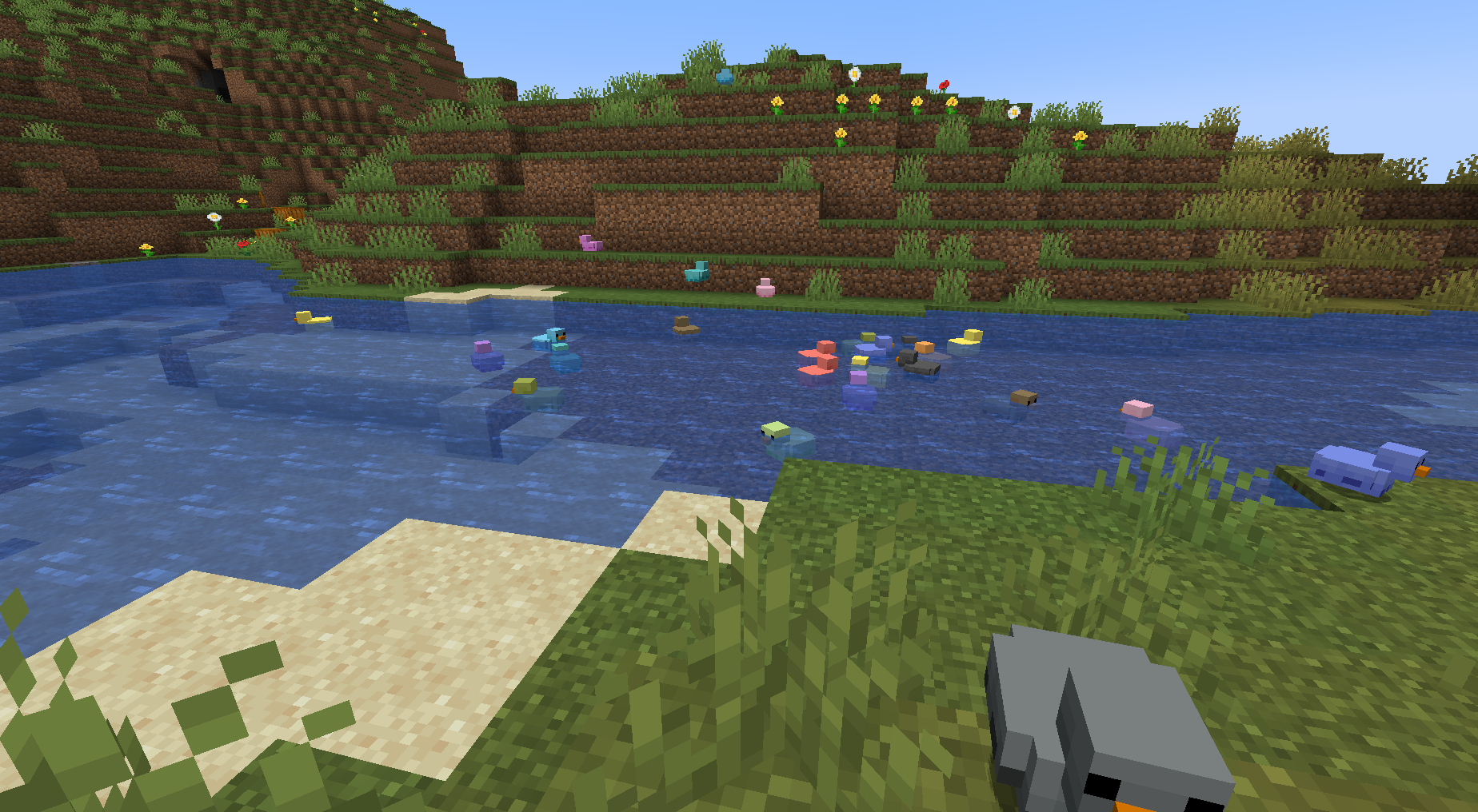 Lucky Ducks