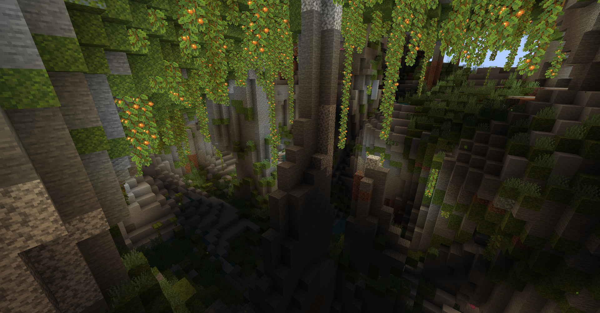 Lush Forests