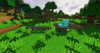 Macaw's Fences and Walls