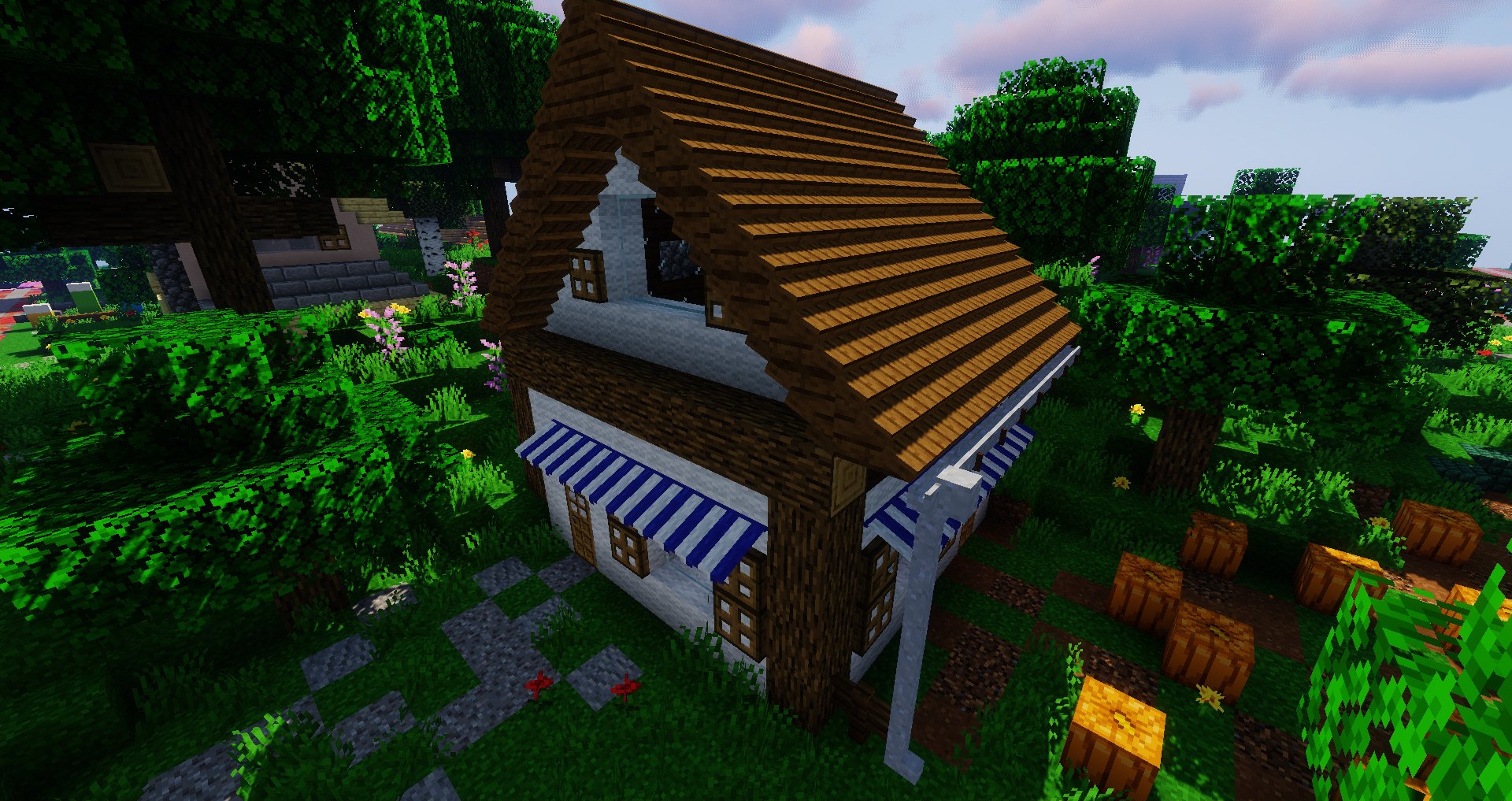 Macaw's Roofs