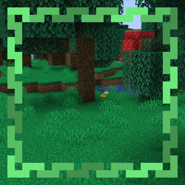 Magical Forest
