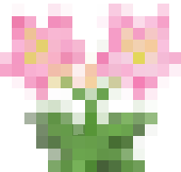 Many Flowers