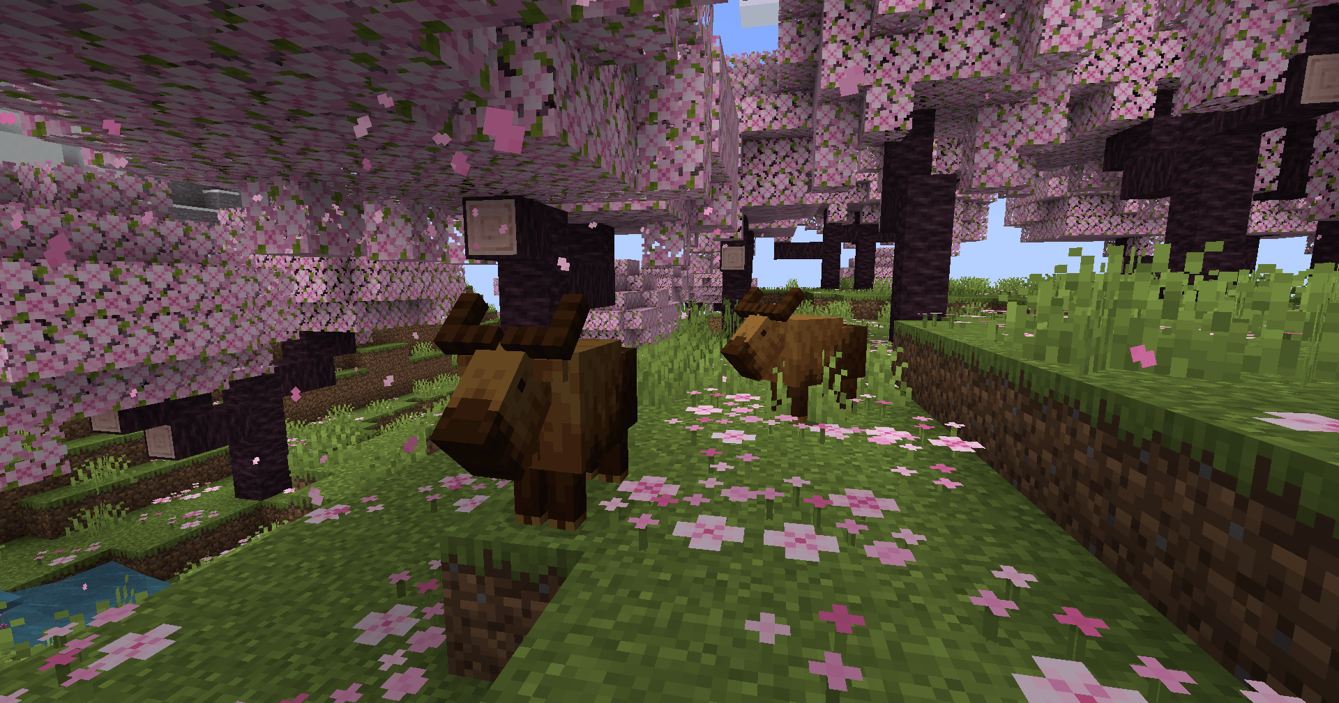 Mineageries Plus