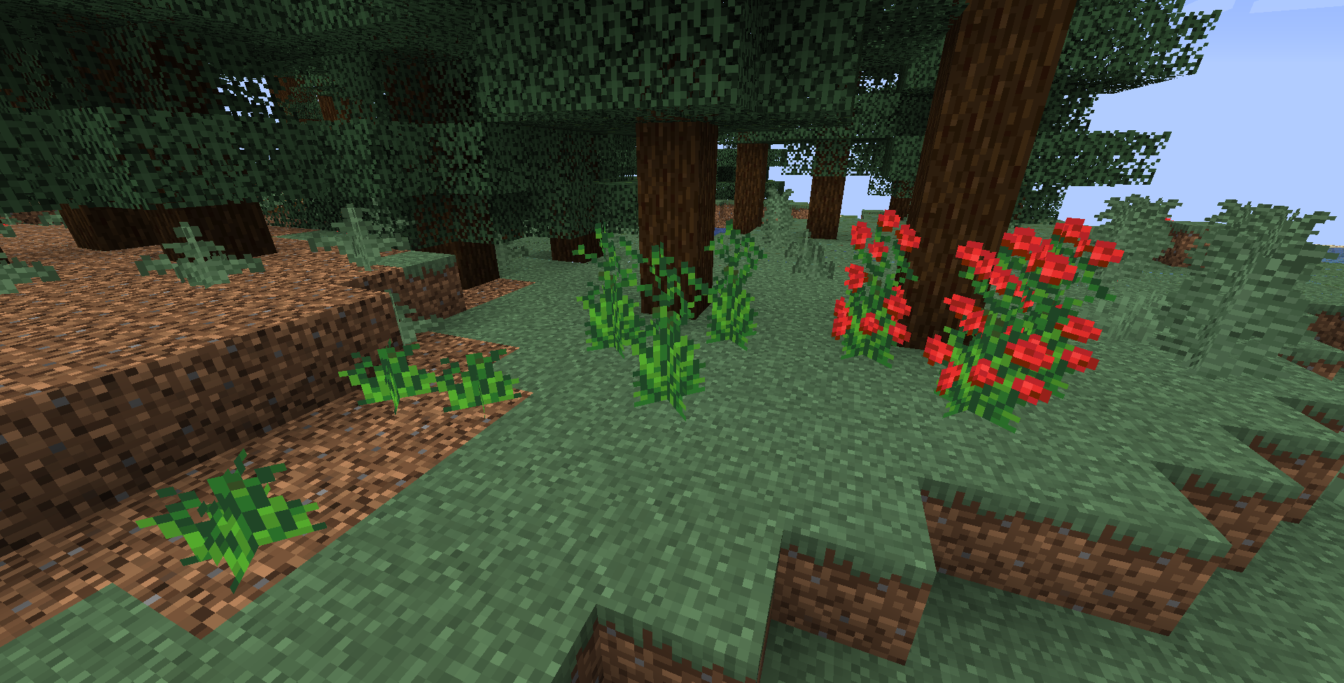 Modest Roses (Discontinued)