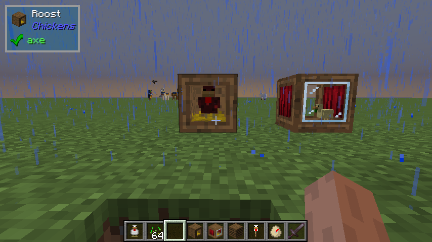 More Chickens