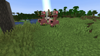 MoreTraps