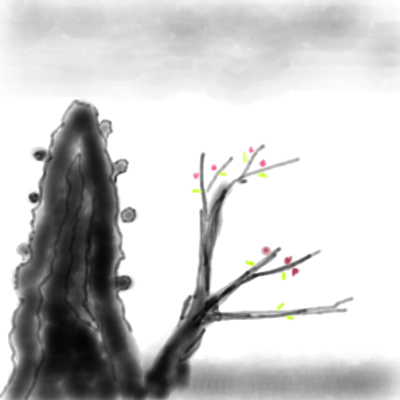 Mountain's Poem