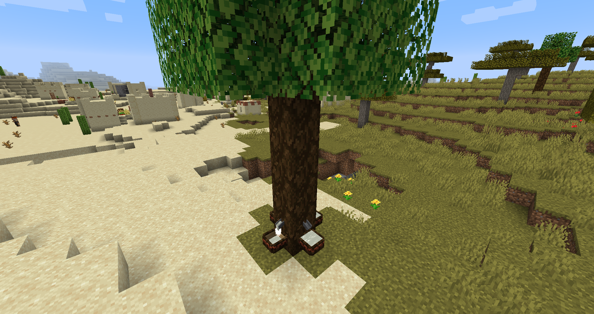 Myrtrees