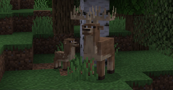 Naturalist