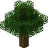 Nature Spirit Origin