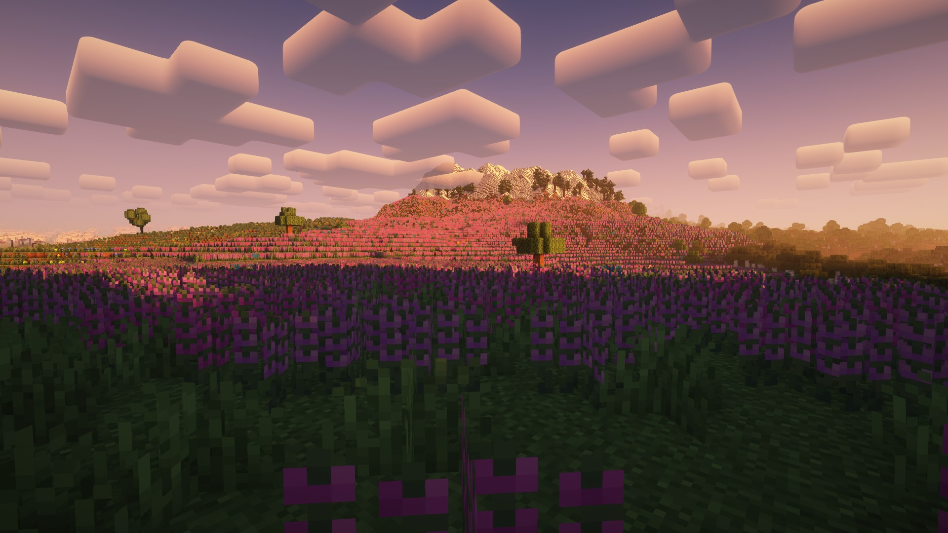 Nature Prairies