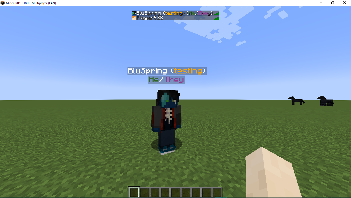Nicknamer