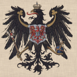 Omnis