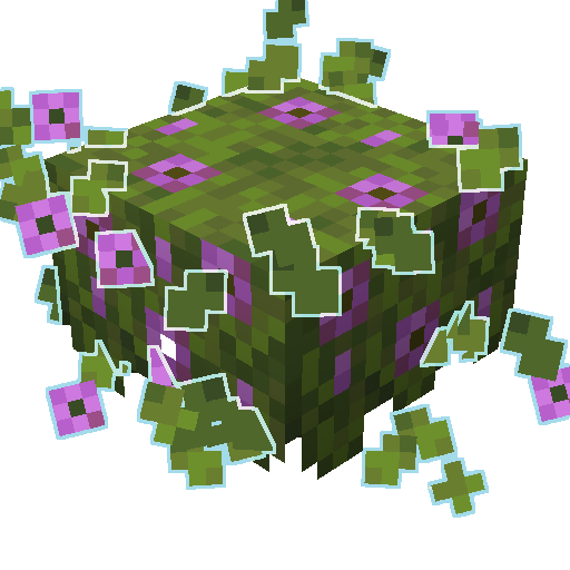 Particle Interactions