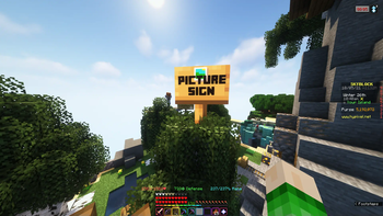 PictureSign