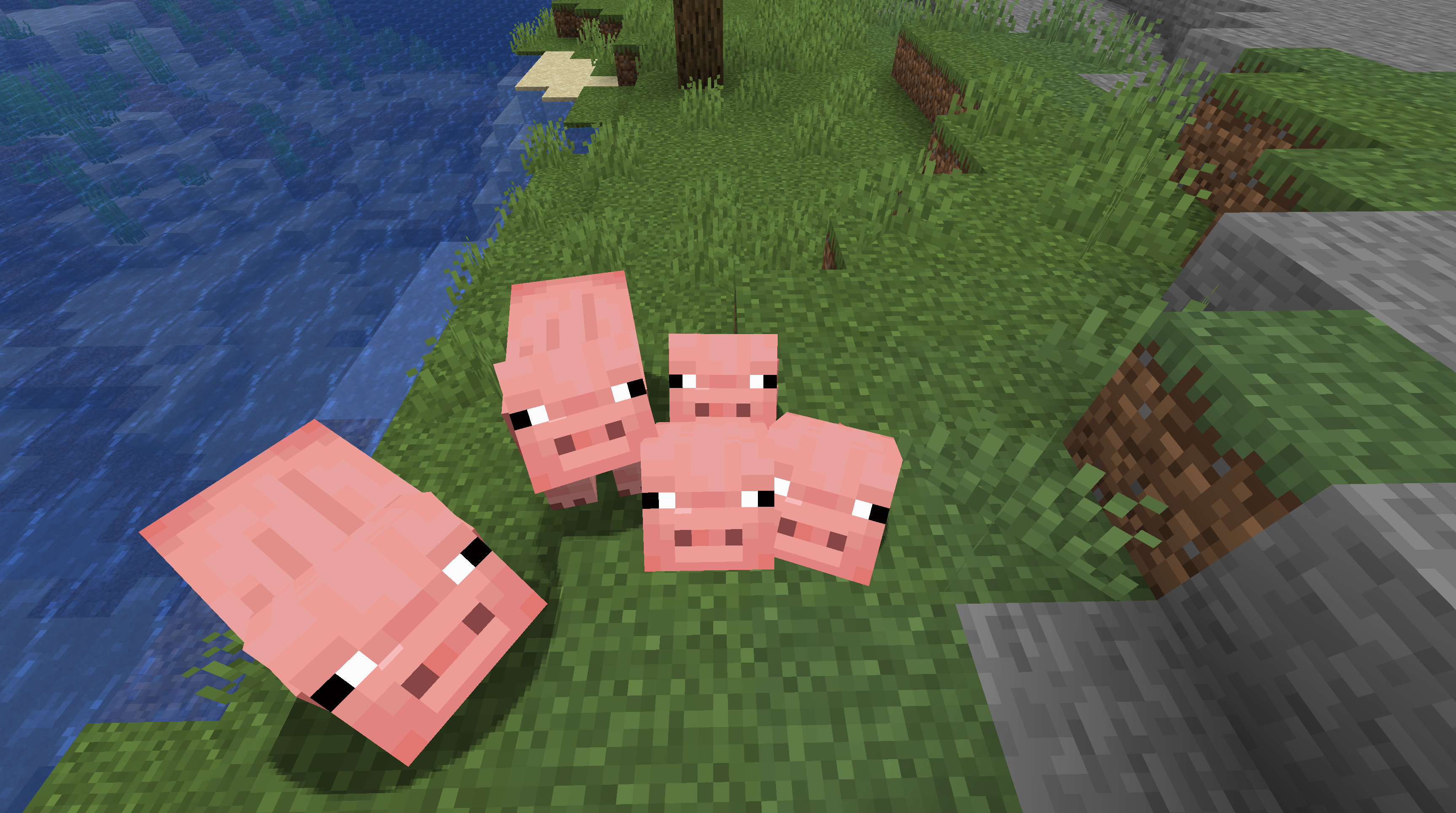 Pigs Have Litters
